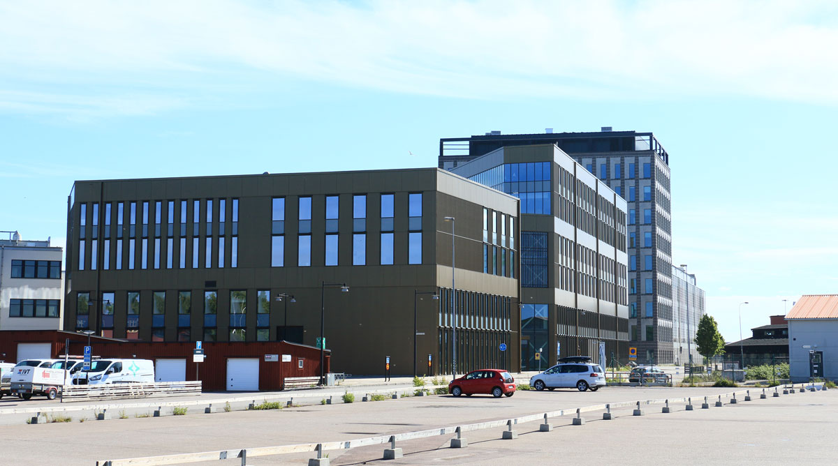 Foto: Stefan Svenaeus 2024