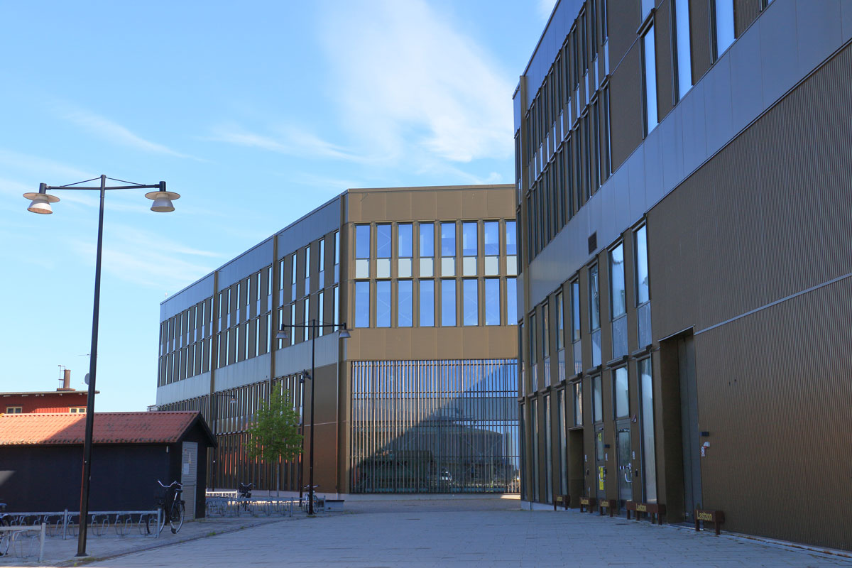 Foto: Stefan Svenaeus 2024