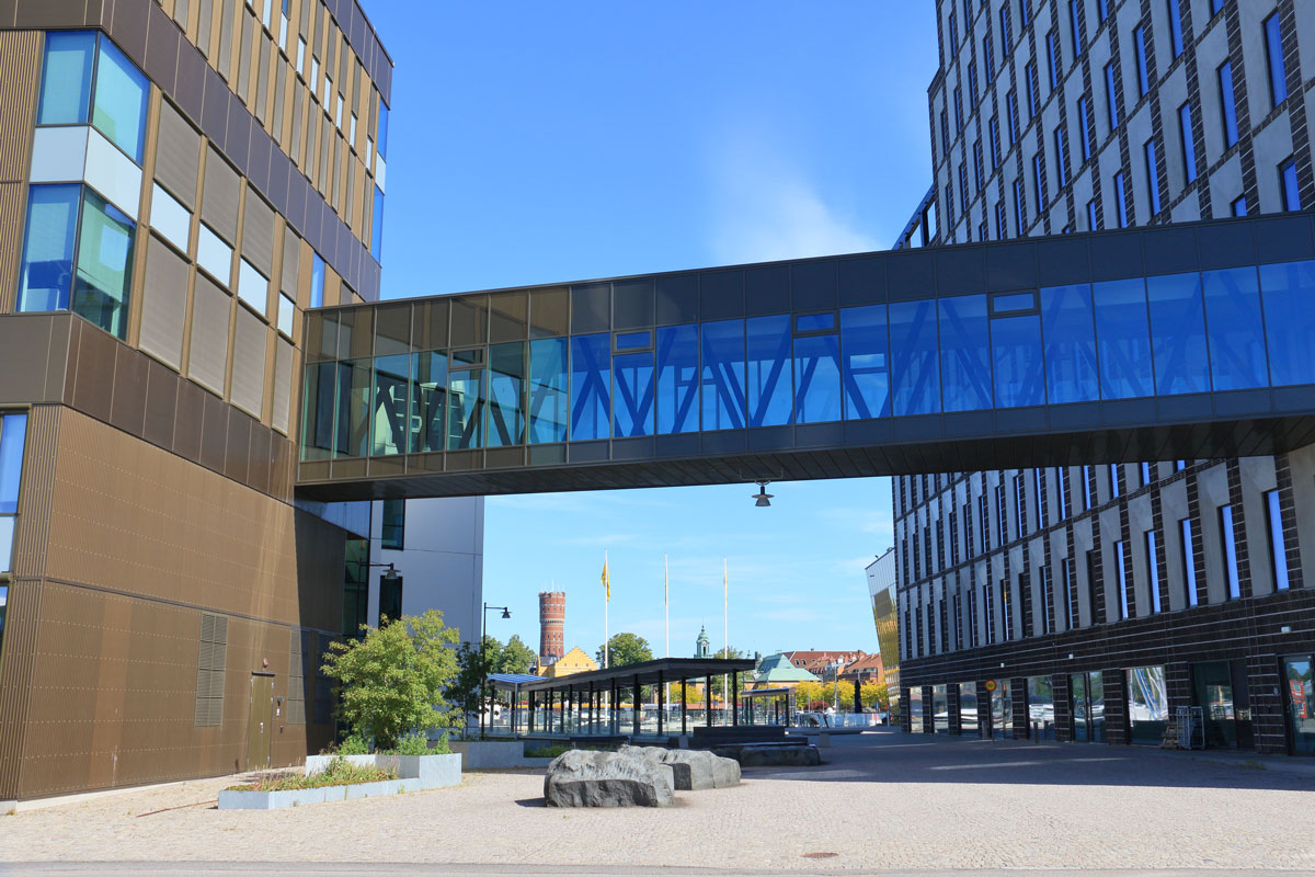 Foto: Stefan Svenaeus 2024