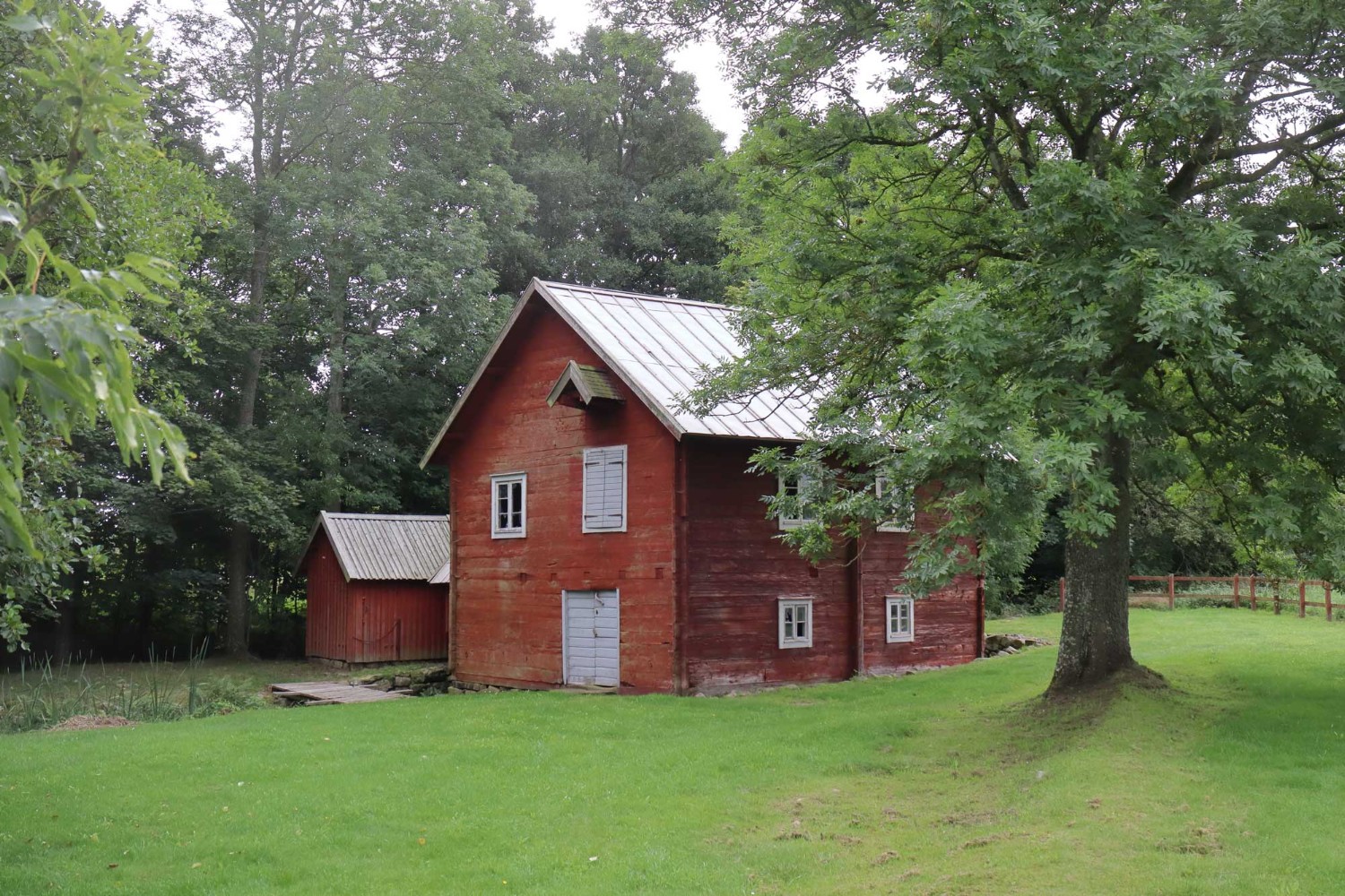 Foto: Stefan Svenaeus 2023