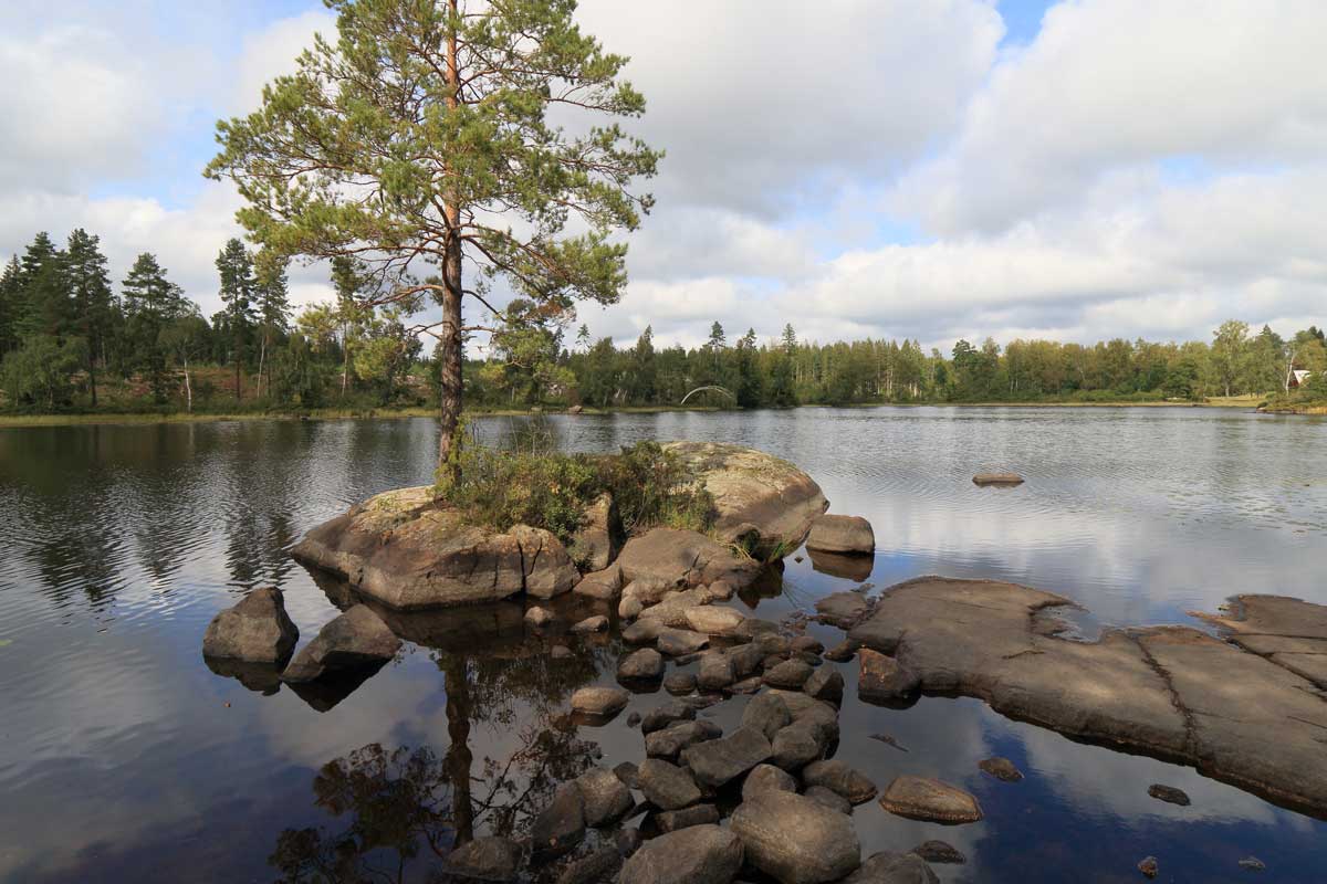 Foto: Stefan Svenaeus 2023