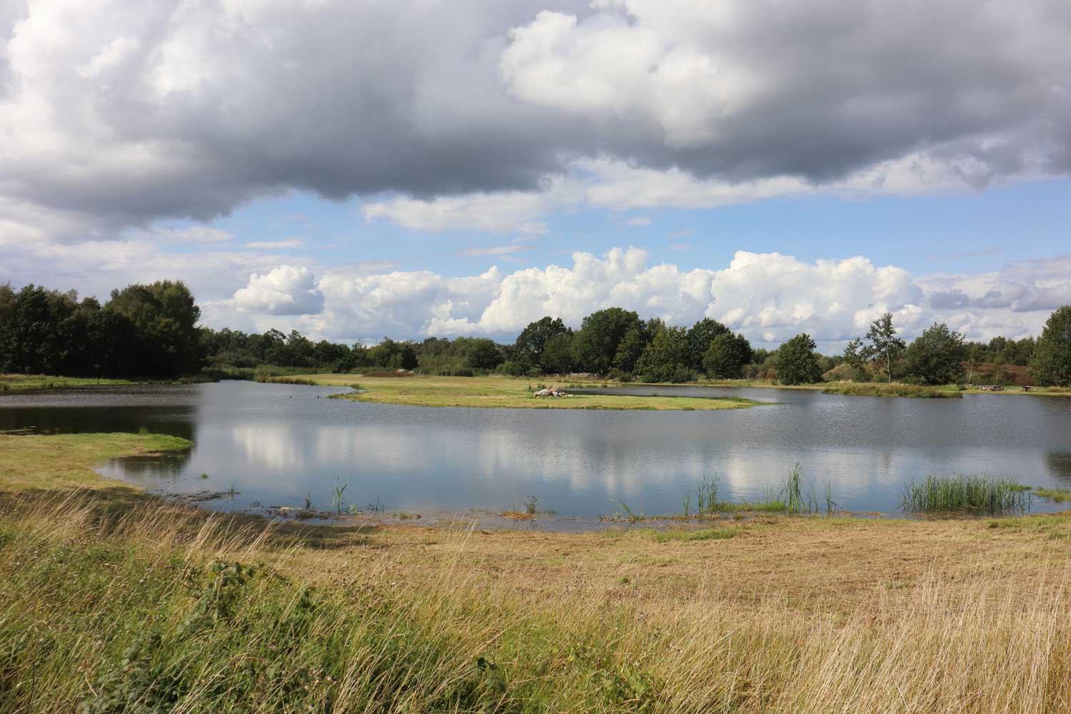 Foto: Stefan Svenaeus 2023