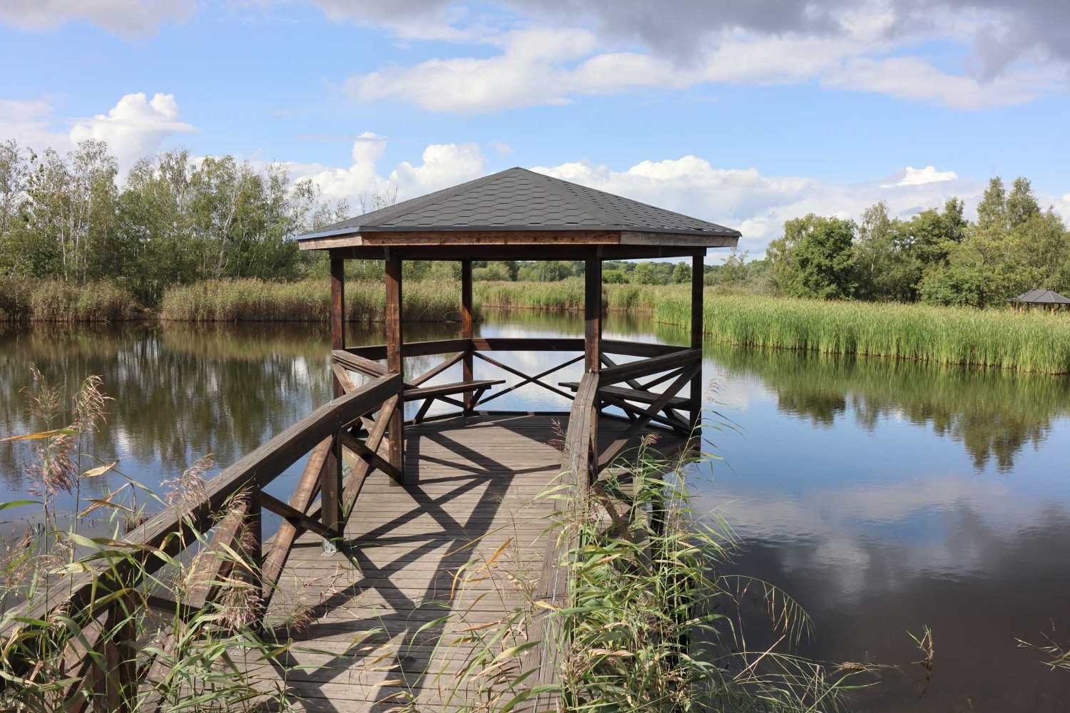 Foto: Stefan Svenaeus 2023