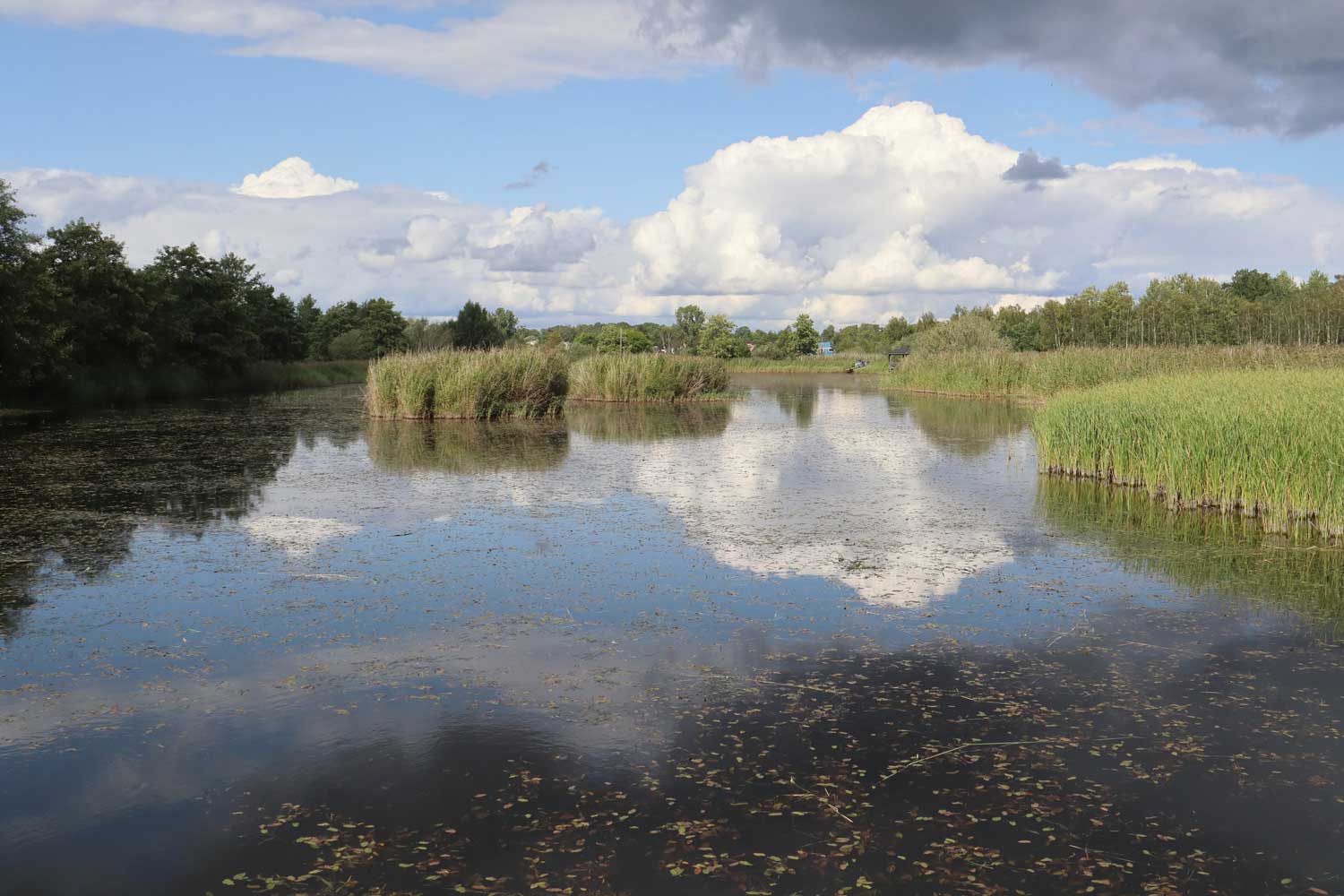Foto: Stefan Svenaeus 2023