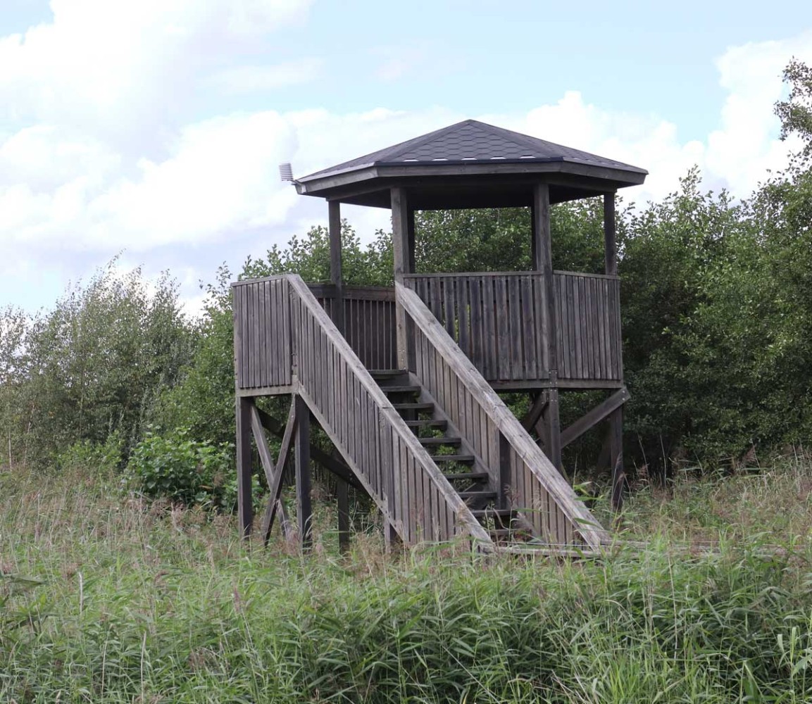 Foto: Stefan Svenaeus 2023