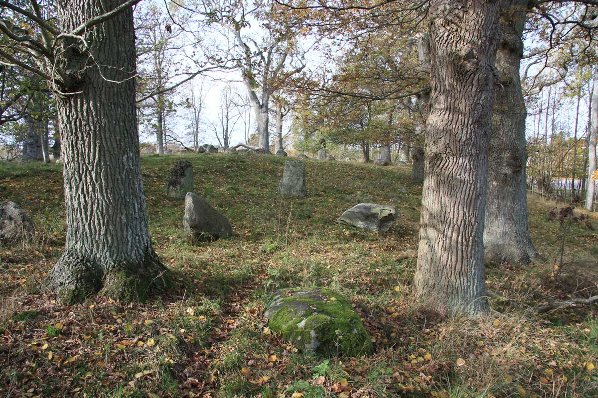 Foto: Stefan Svenaeus 2013