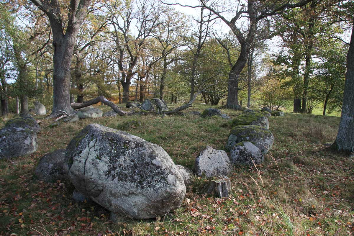 Foto: Stefan Svenaeus 2013