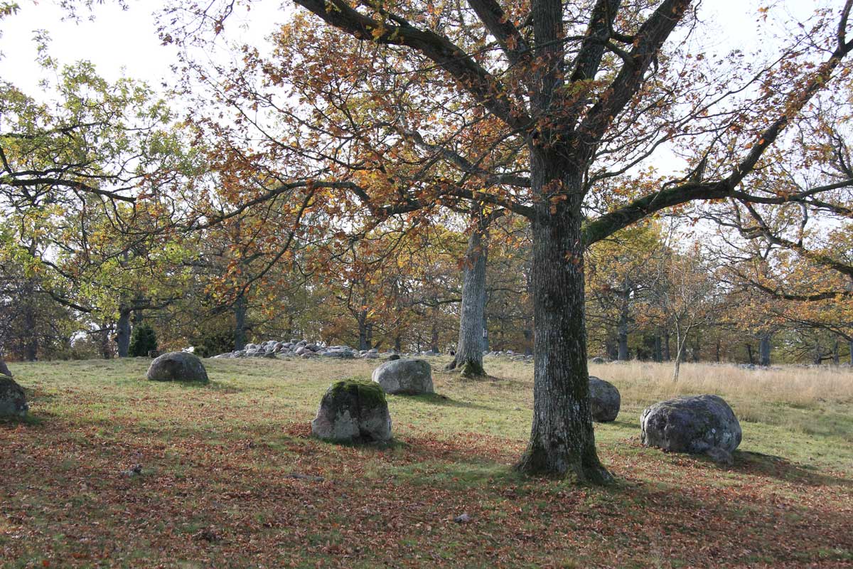 Foto: Stefan Svenaeus 2013