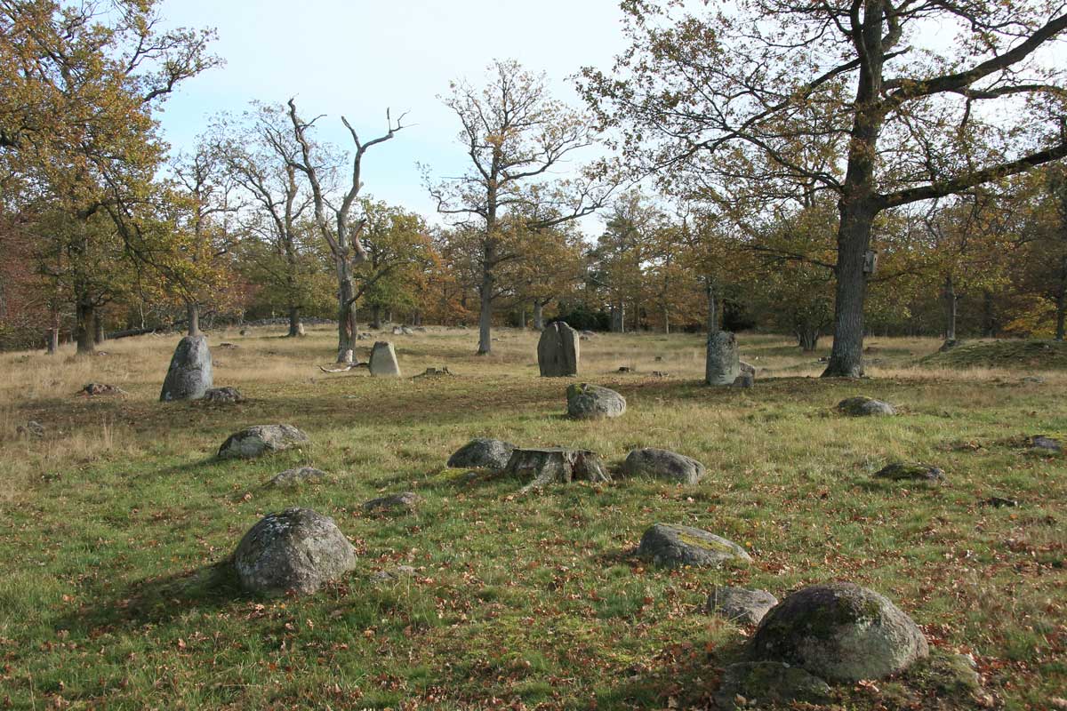 Foto: Stefan Svenaeus 2013