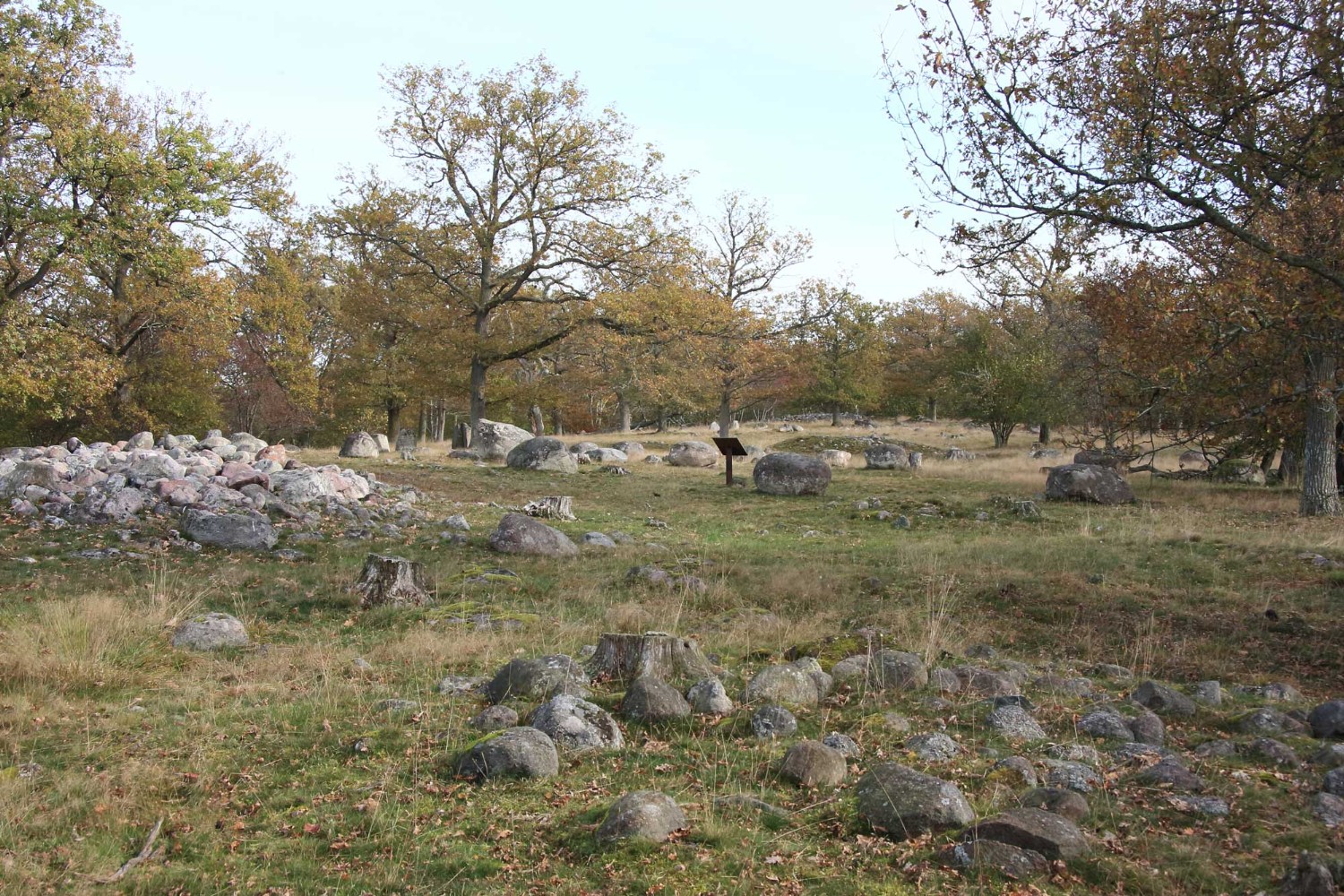 Foto: Stefan Svenaeus 2013