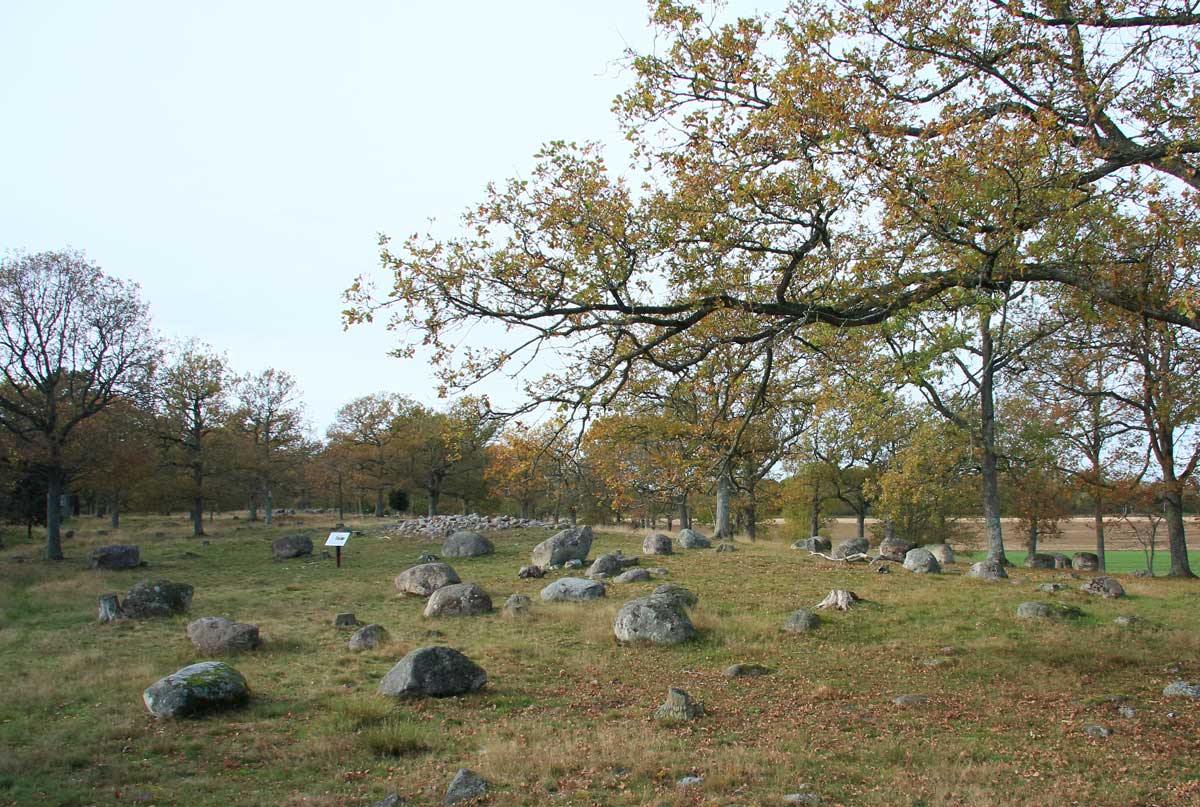 Foto: Stefan Svenaeus 2013