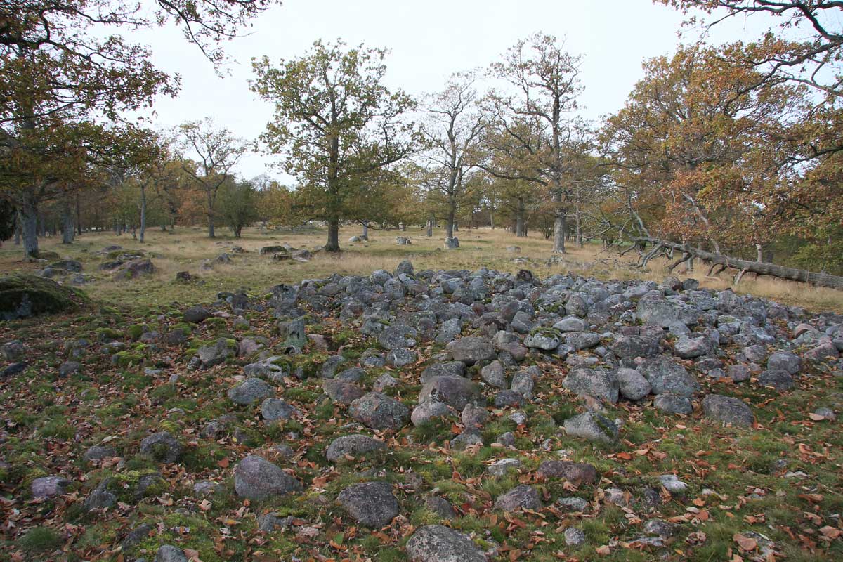 Foto: Stefan Svenaeus 2013
