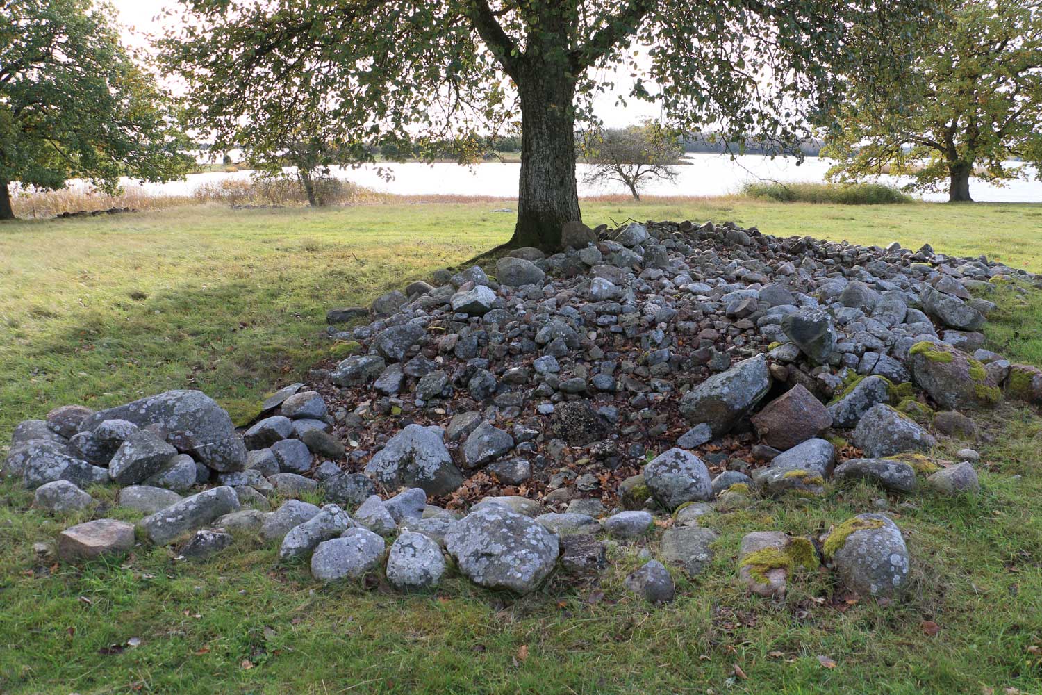 Kanske stod riddarens hus här Foto: Stefan Svenaeus 2023