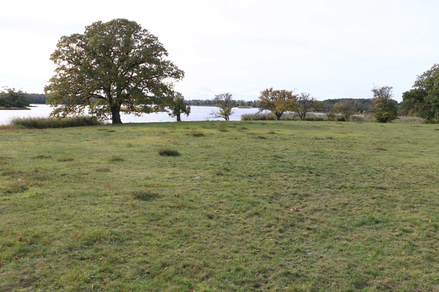 Foto: Stefan Svenaeus 2023