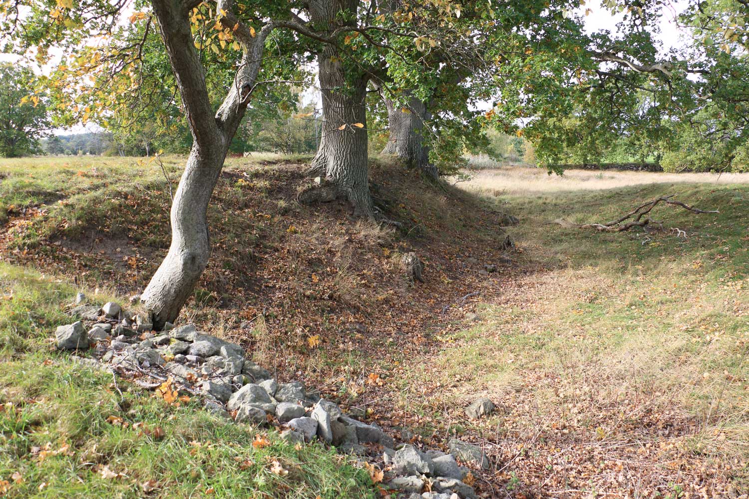 Delar av vallarna Foto: Stefan Svenaeus 2023