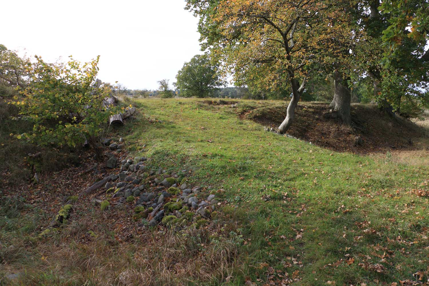 Foto: Stefan Svenaeus 2023