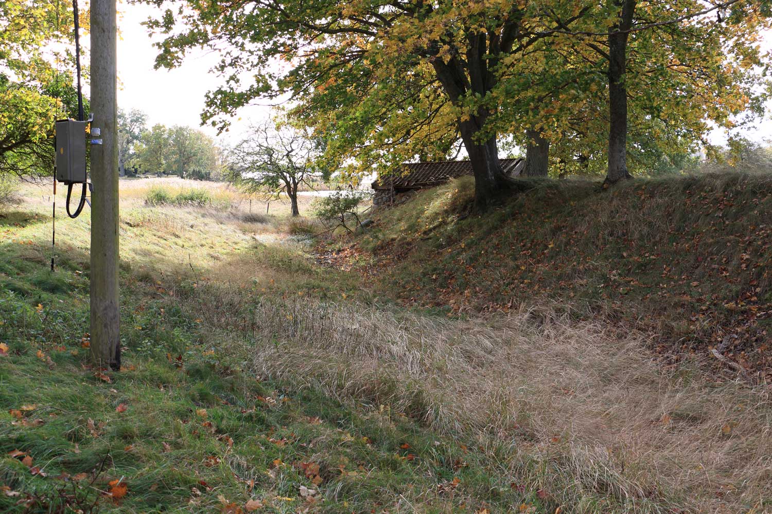 Vallarna Foto: Stefan Svenaeus 2023
