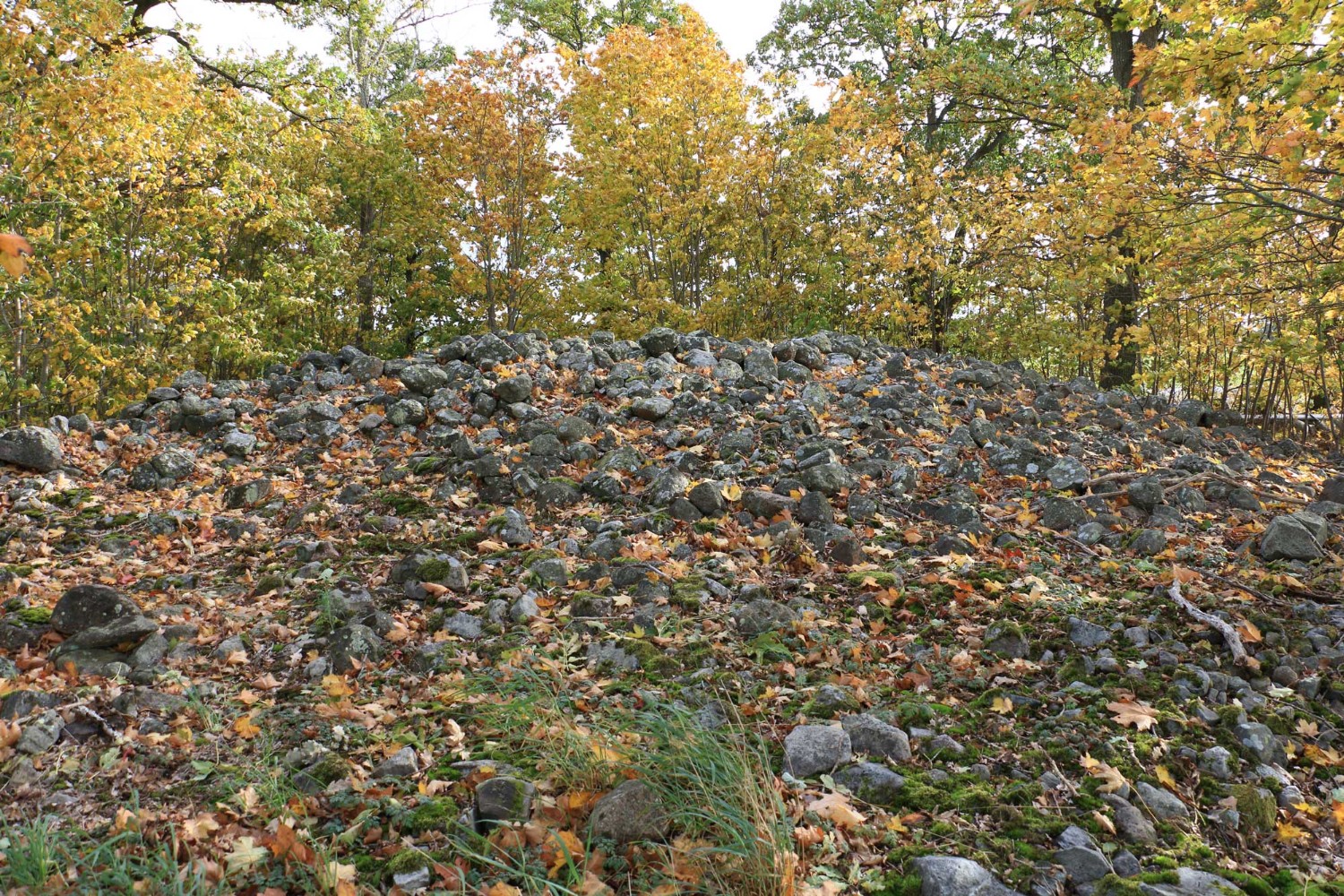 Foto: Stefan Svenaeus 2023