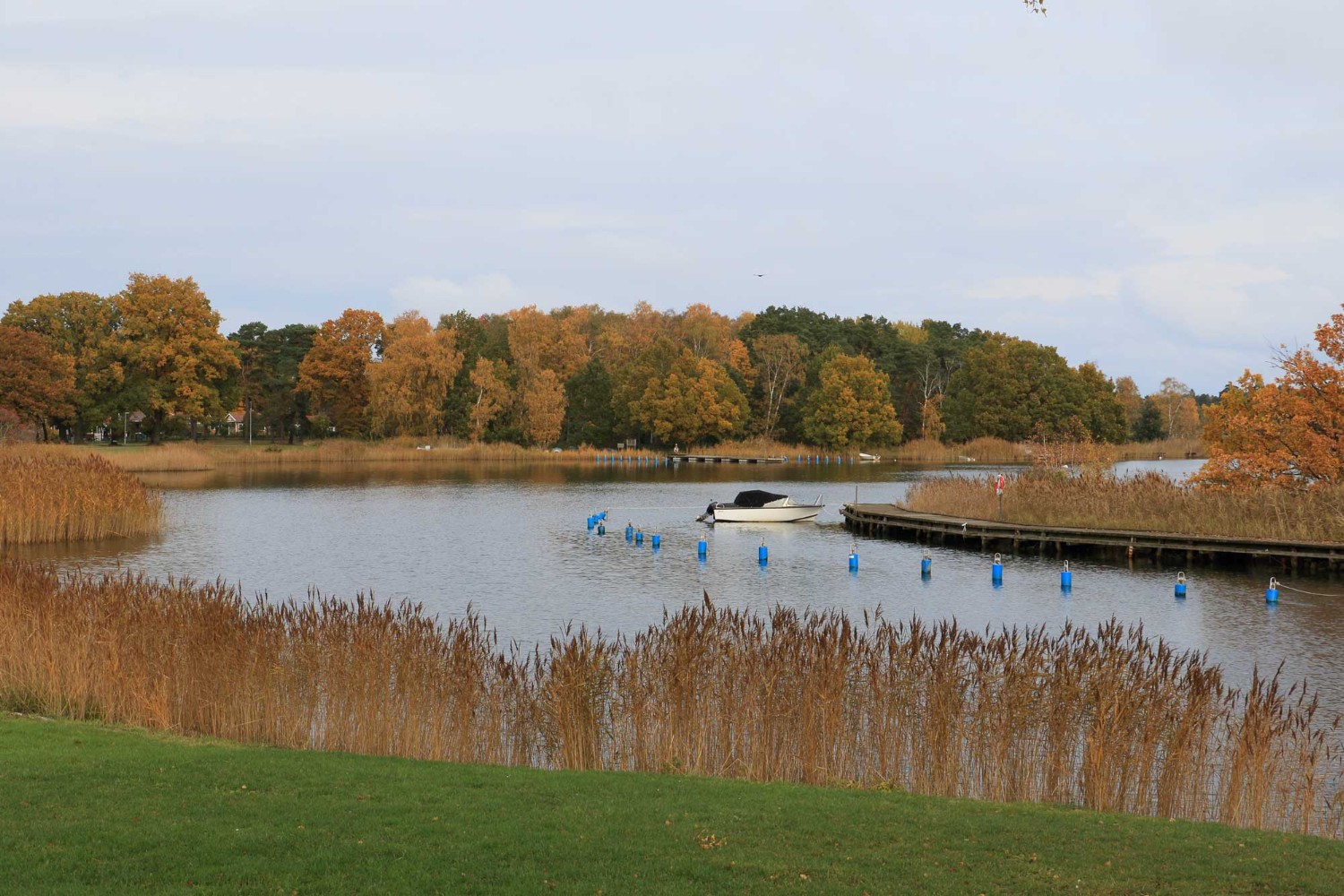 Lindöfjärden från Jutebron. Foto: Stefan Svenaeus 2023