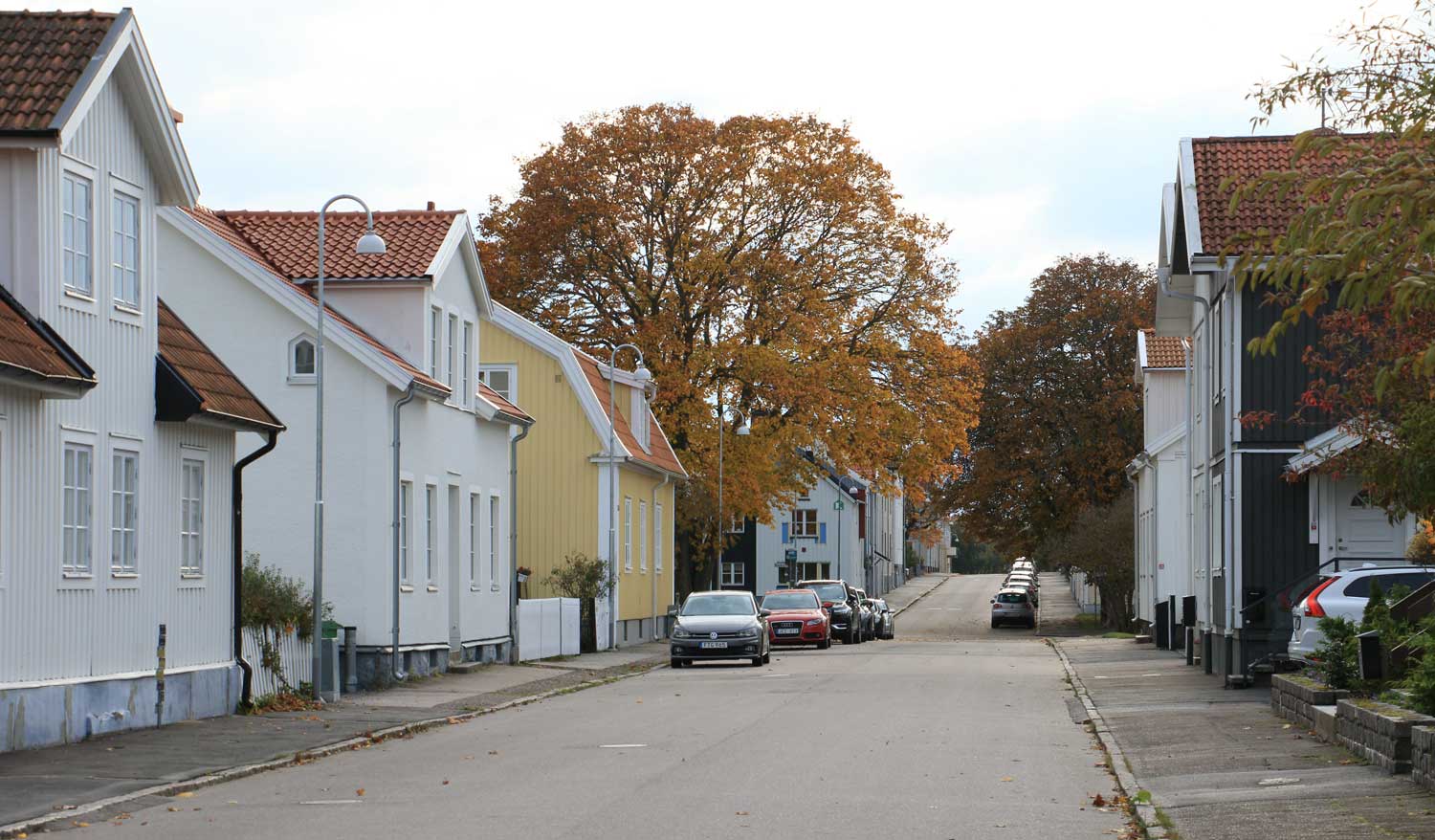 Gripgatan Foto: Stefan Svenaeus 2023