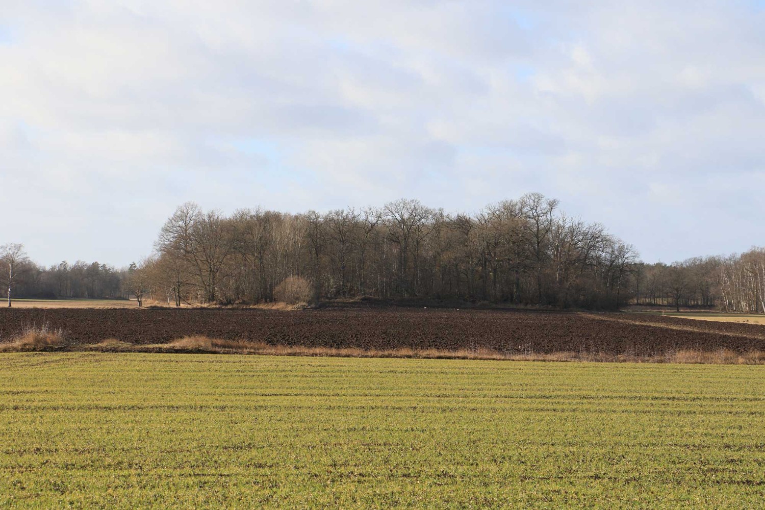 Foto: Stefan Svenaeus 2024