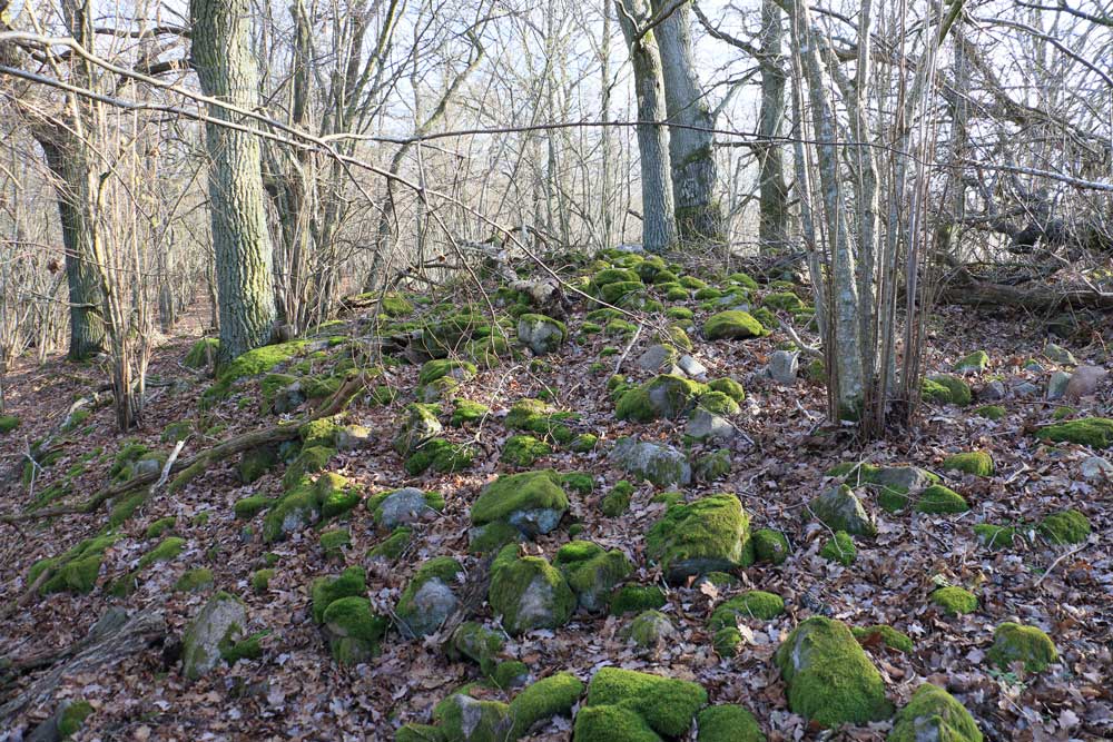 Foto: Stefan Svenaeus 2024