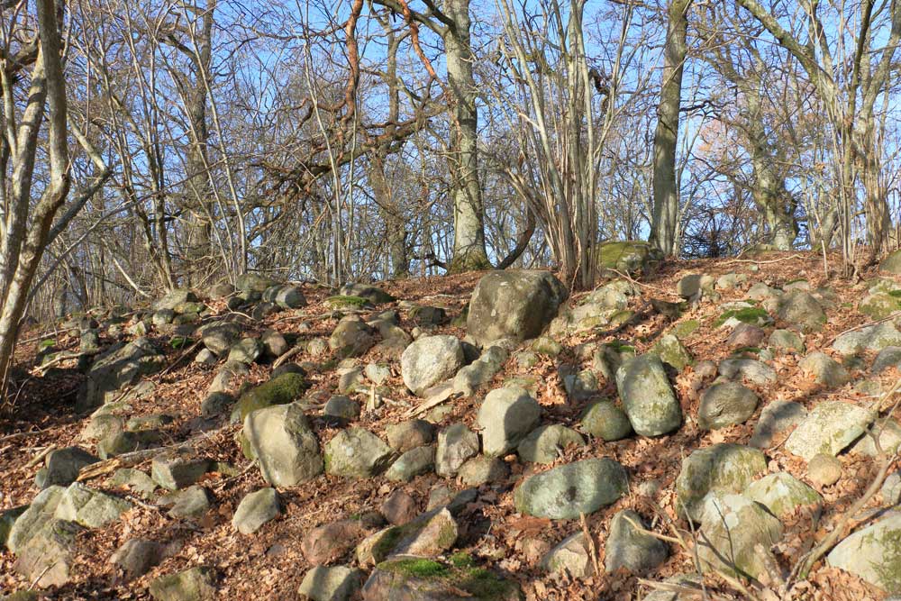 Foto: Stefan Svenaeus 2024