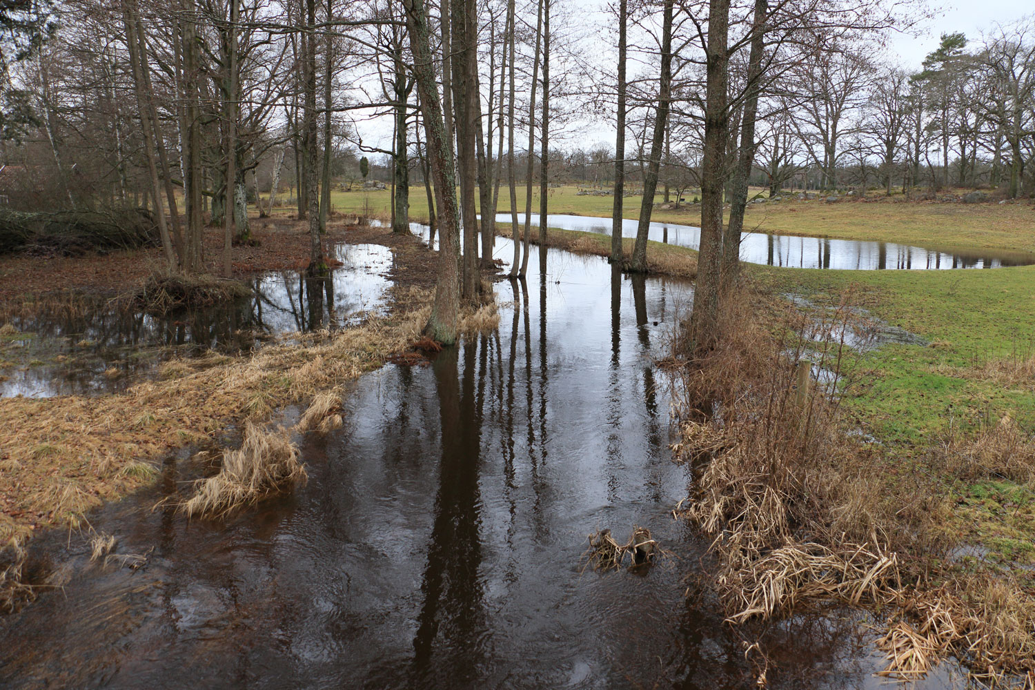 Vid Nävrabro Foto: Stefan Svenaeus 2024