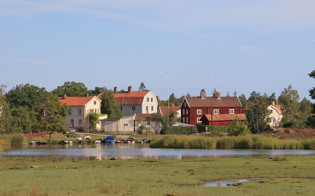 Foto: Stefan Svenaeus 2024