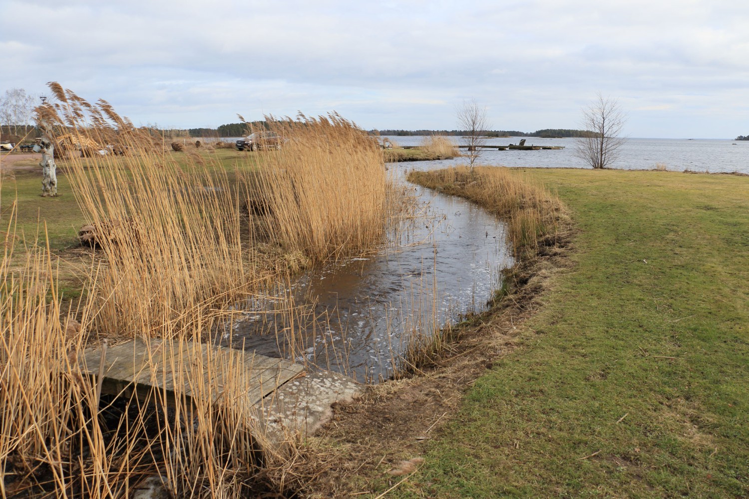 Foto: Stefan Svenaeus 2024