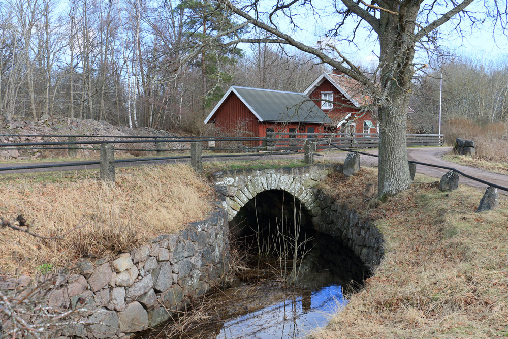 Foto: Stefan Svenaeus 2024