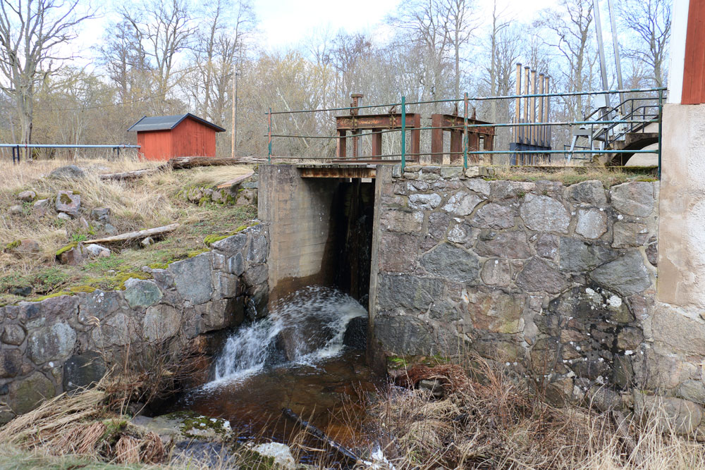 Foto: Stefan Svenaeus 2024