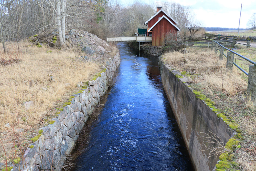 Foto: Stefan Svenaeus 2024