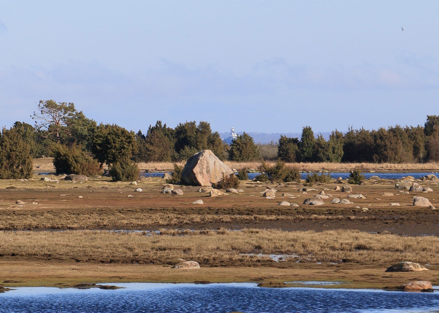Foto: Stefan Svenaeus 2024