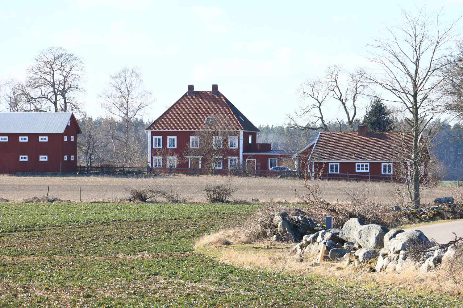 Foto: Stefan Svenaeus 2024