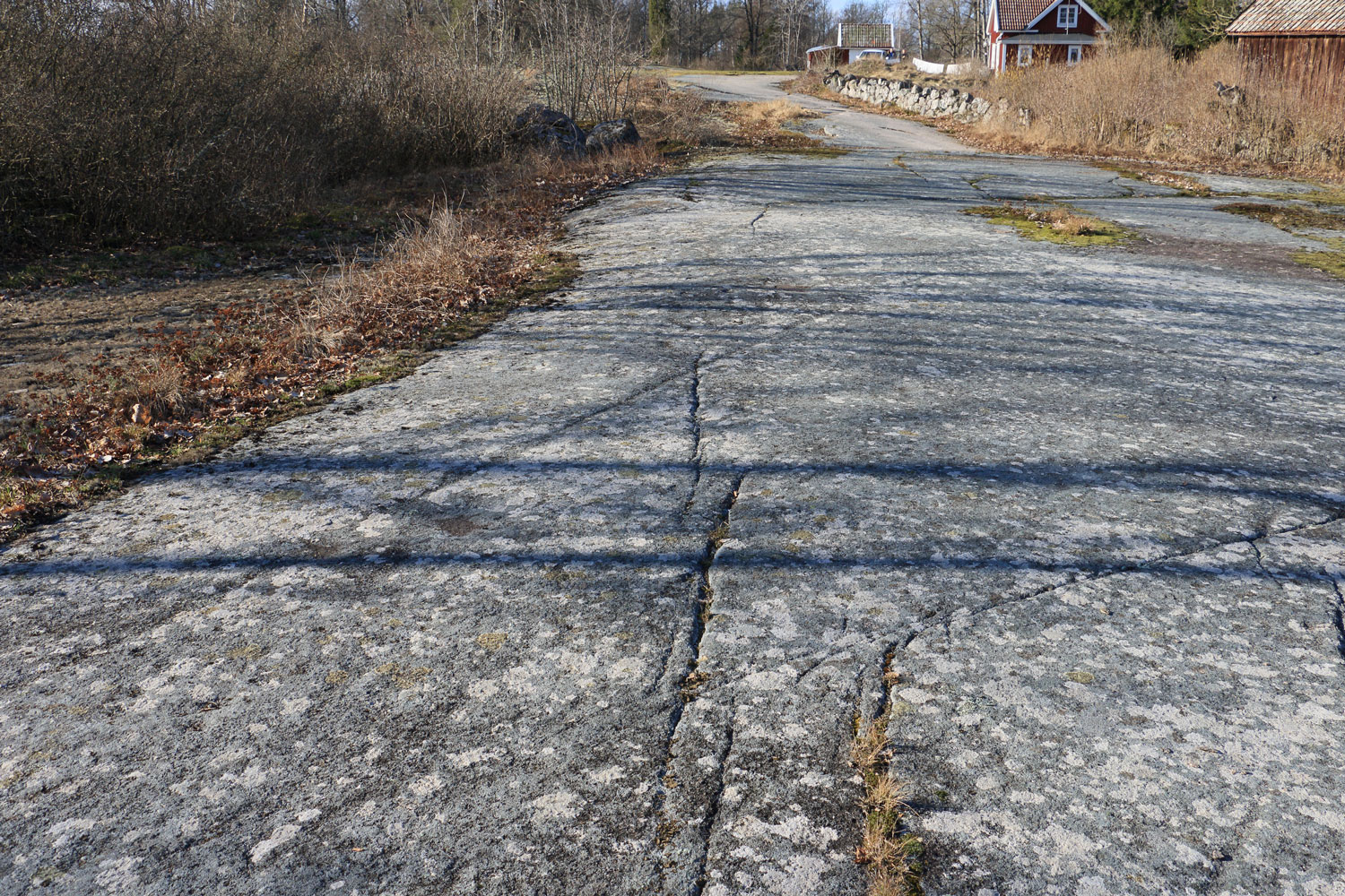 Foto: Stefan Svenaeus 2024