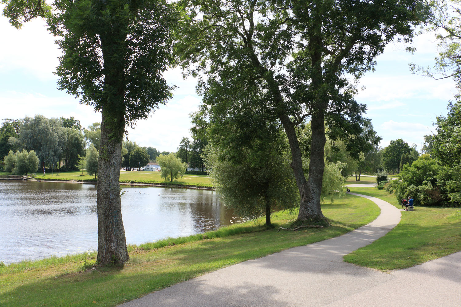 Foto: Stefan Svenaeus 2024
