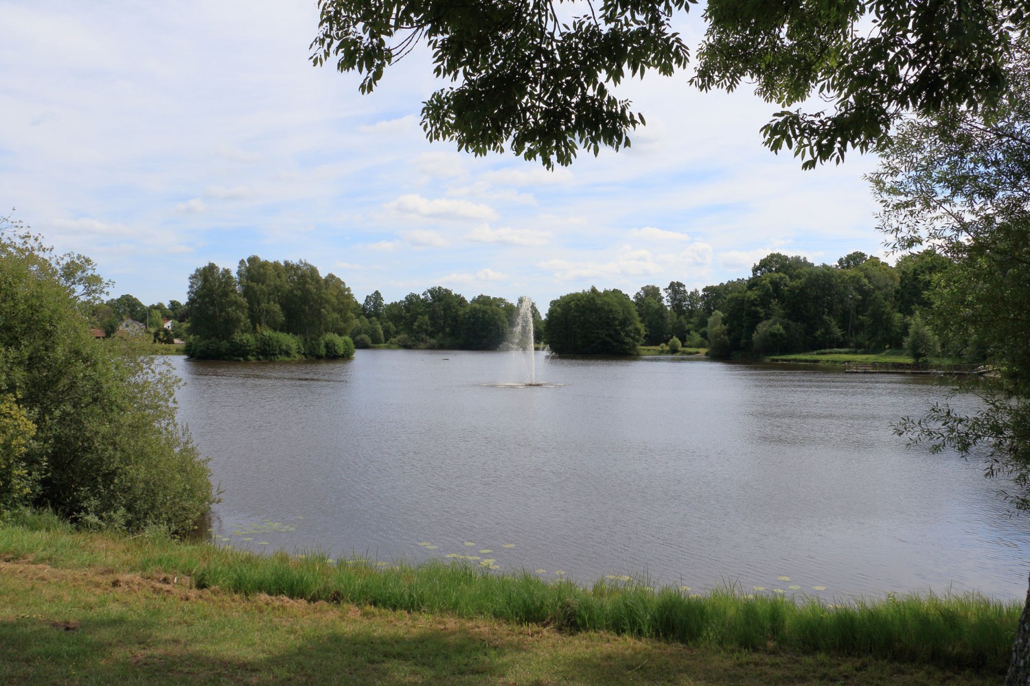 Foto: Stefan Svenaeus 2024