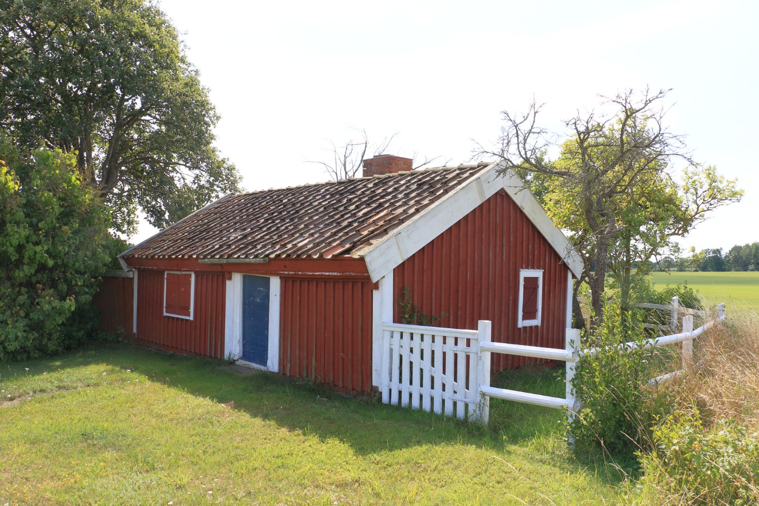 Foto: Stefan Svenaeus 2024
