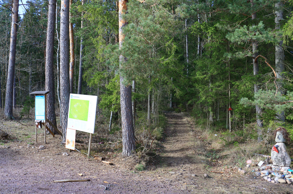 Foto: Stefan Svenaeus 2024