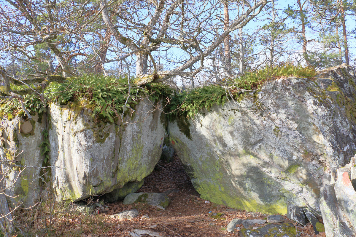 Foto: Stefan Svenaeus 2024