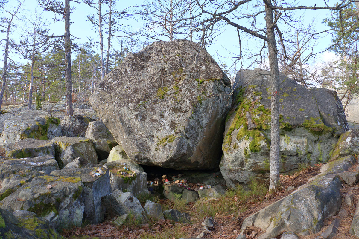 Foto: Stefan Svenaeus 2024