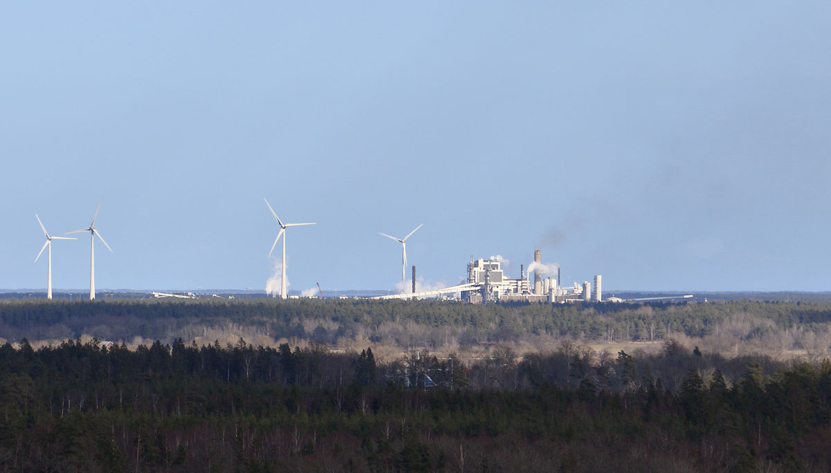 Foto: Stefan Svenaeus 2024