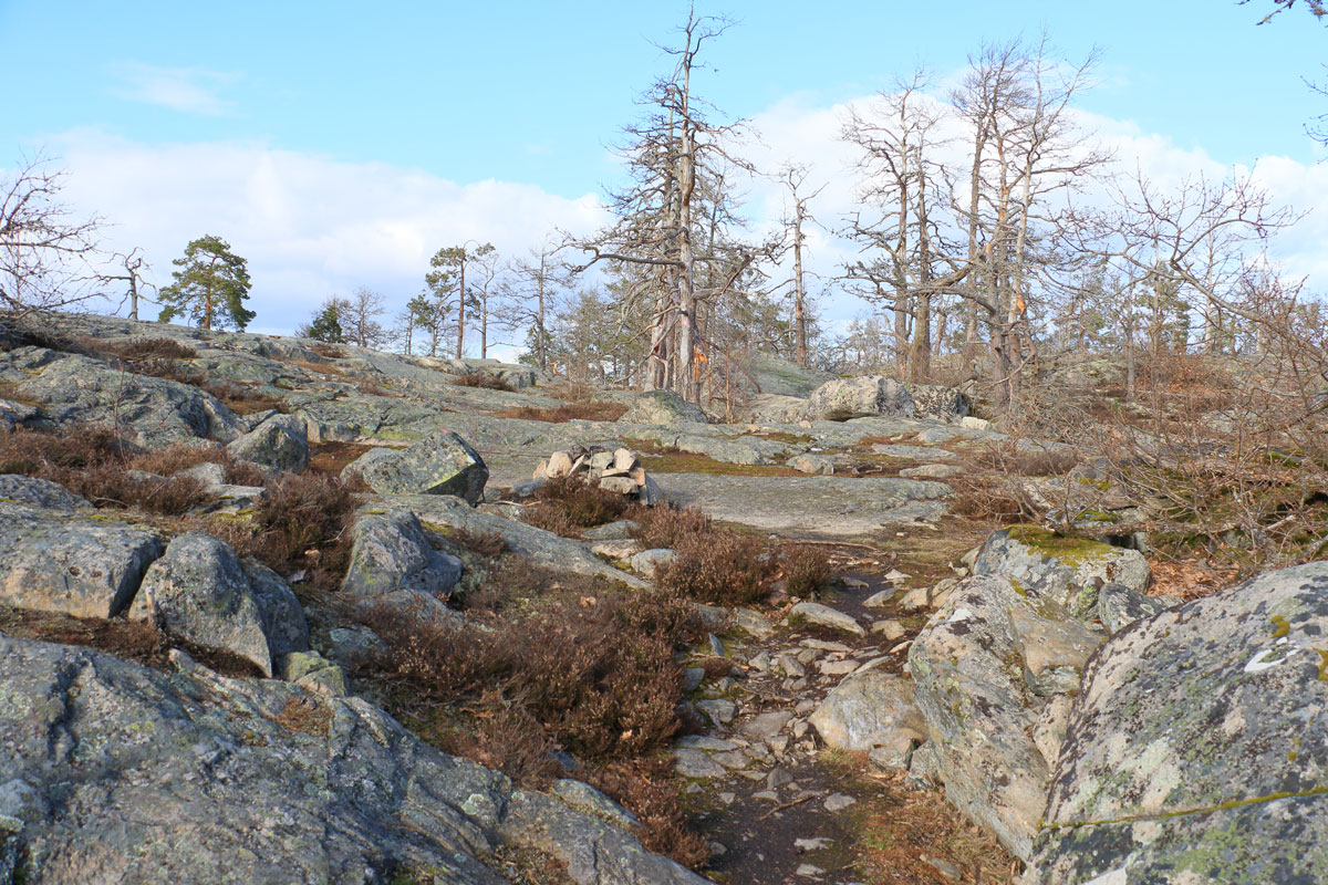 Foto: Stefan Svenaeus 2024