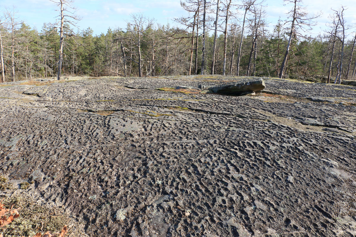 Foto: Stefan Svenaeus 2024
