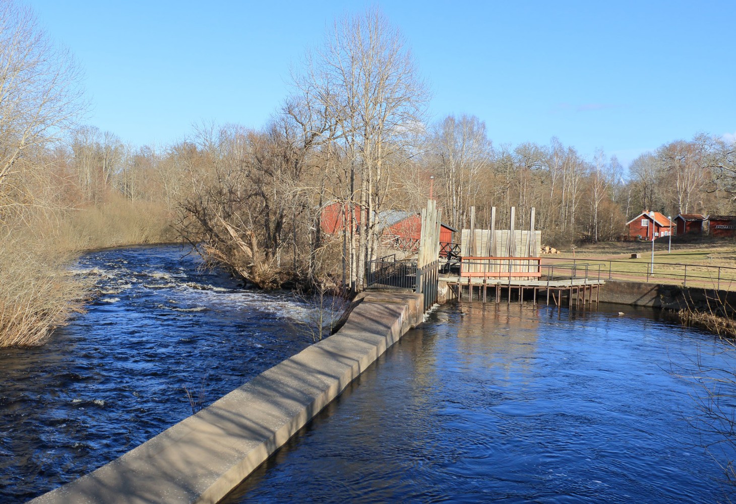 Foto: Stefan Svenaeus 2024