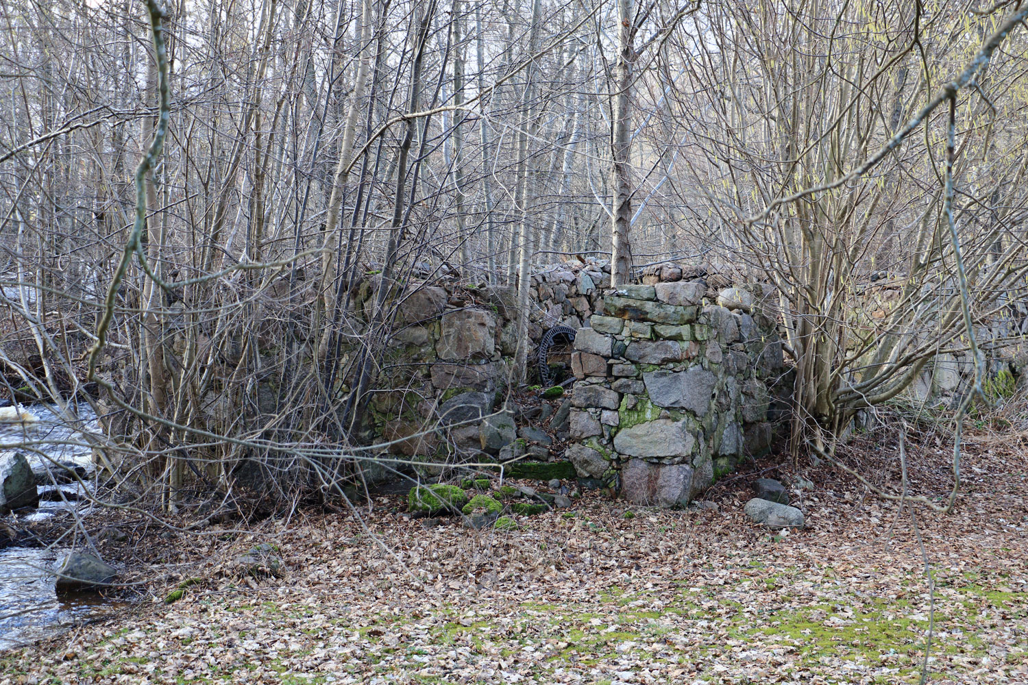 Foto: Stefan Svenaeus 2024