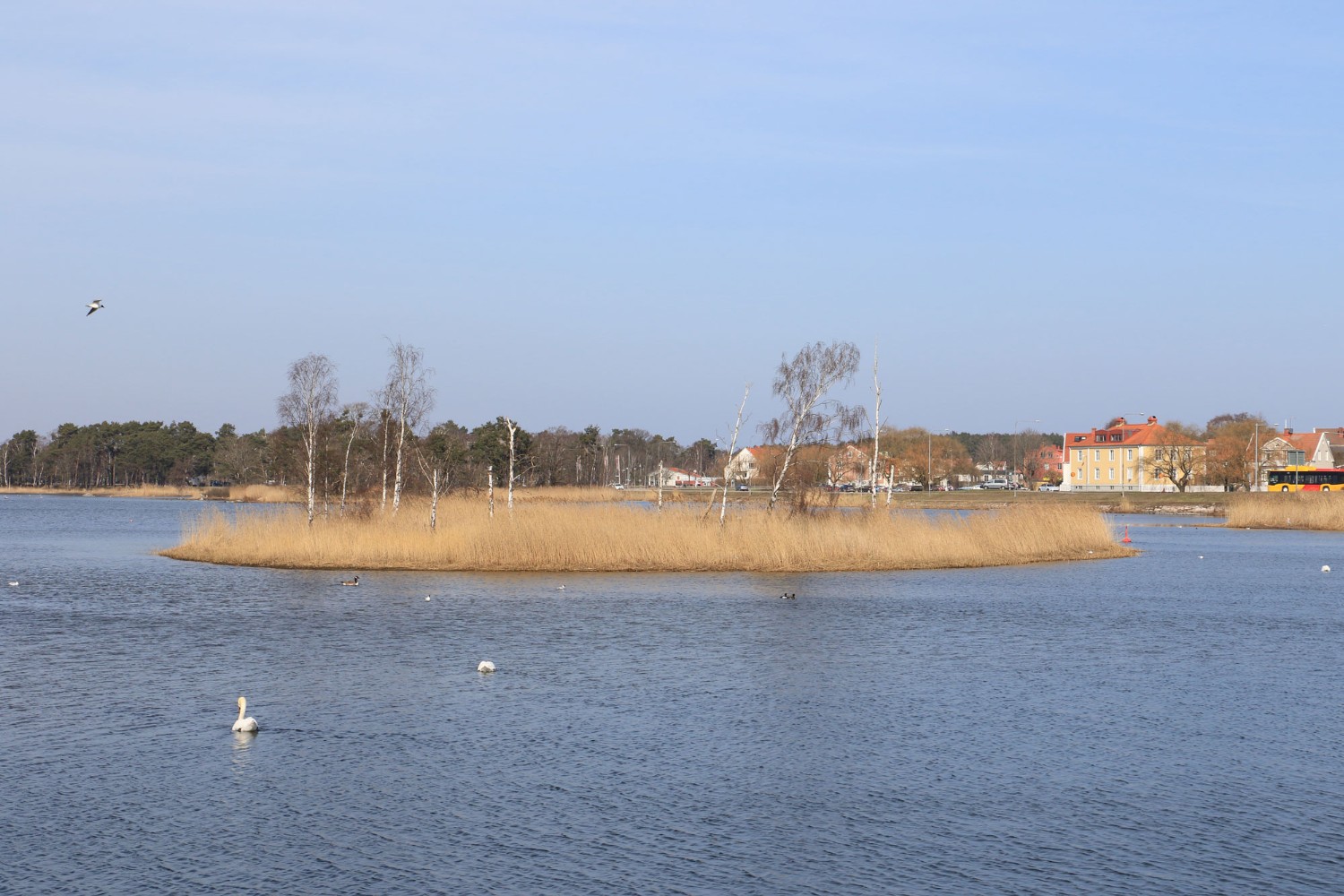 Foto: Stefan Svenaeus 2024