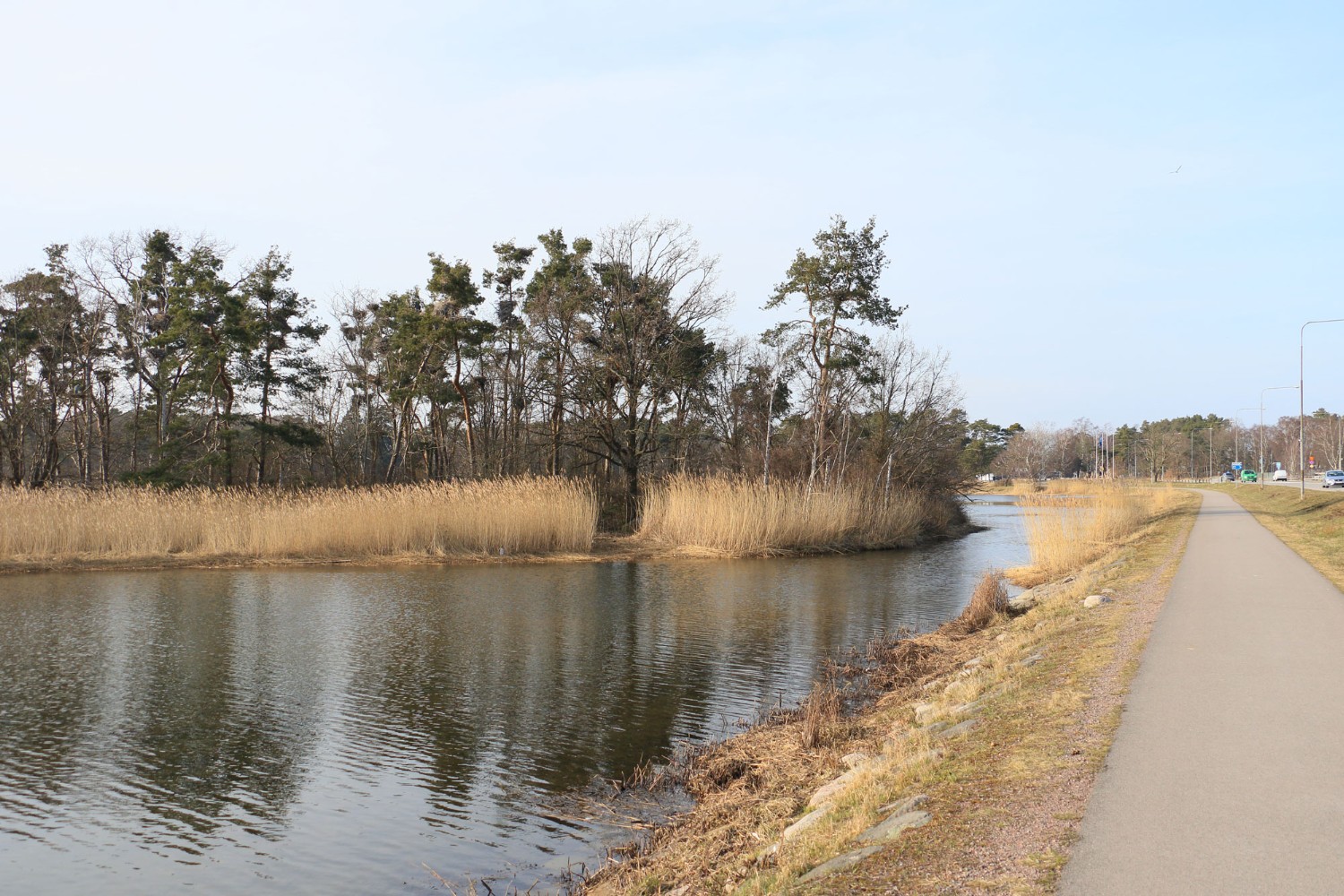 Foto: Stefan Svenaeus 2024