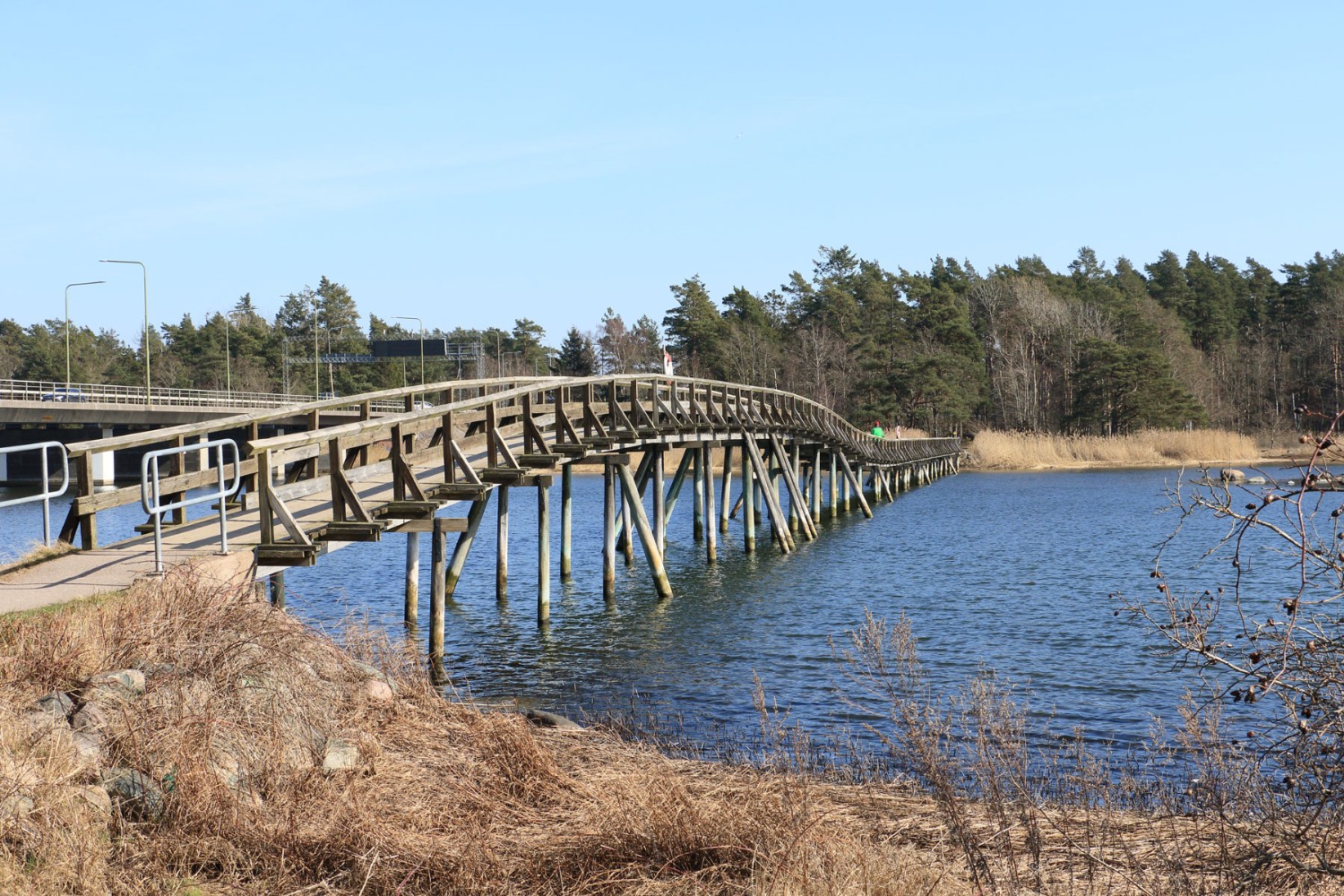 Svinöbron Foto: Stefan Svenaeus 2024